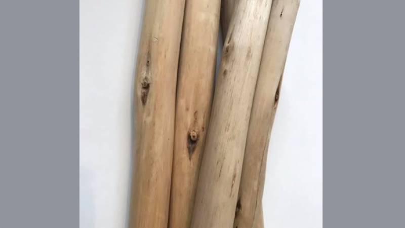 Volvieron a robar palos de una misma finca