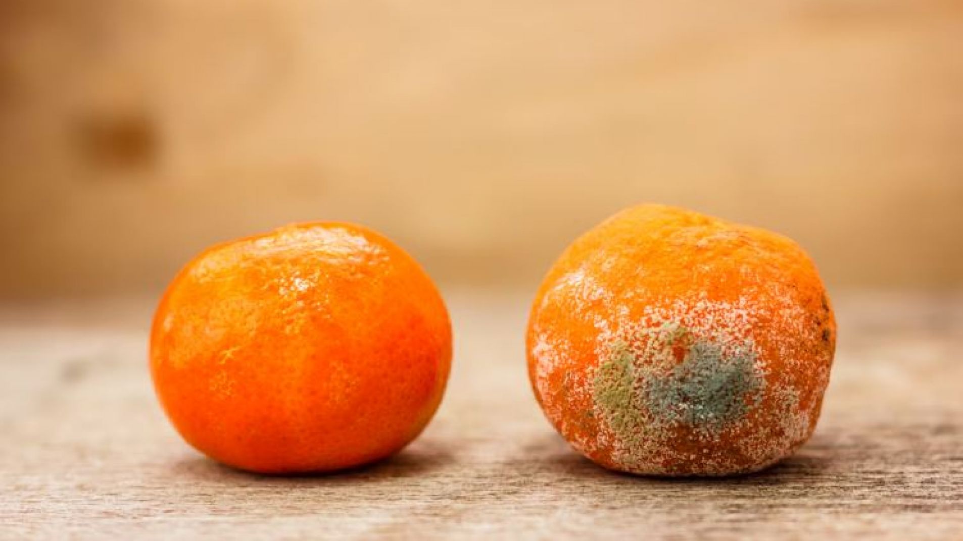 El error común al encontrar moho en la fruta de la heladera