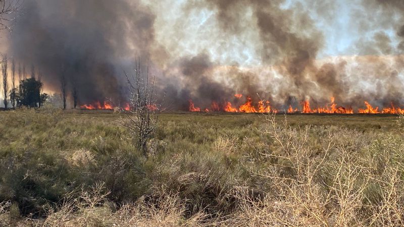 Alertan por alto riesgo de incendios forestales: piden extremar los cuidados