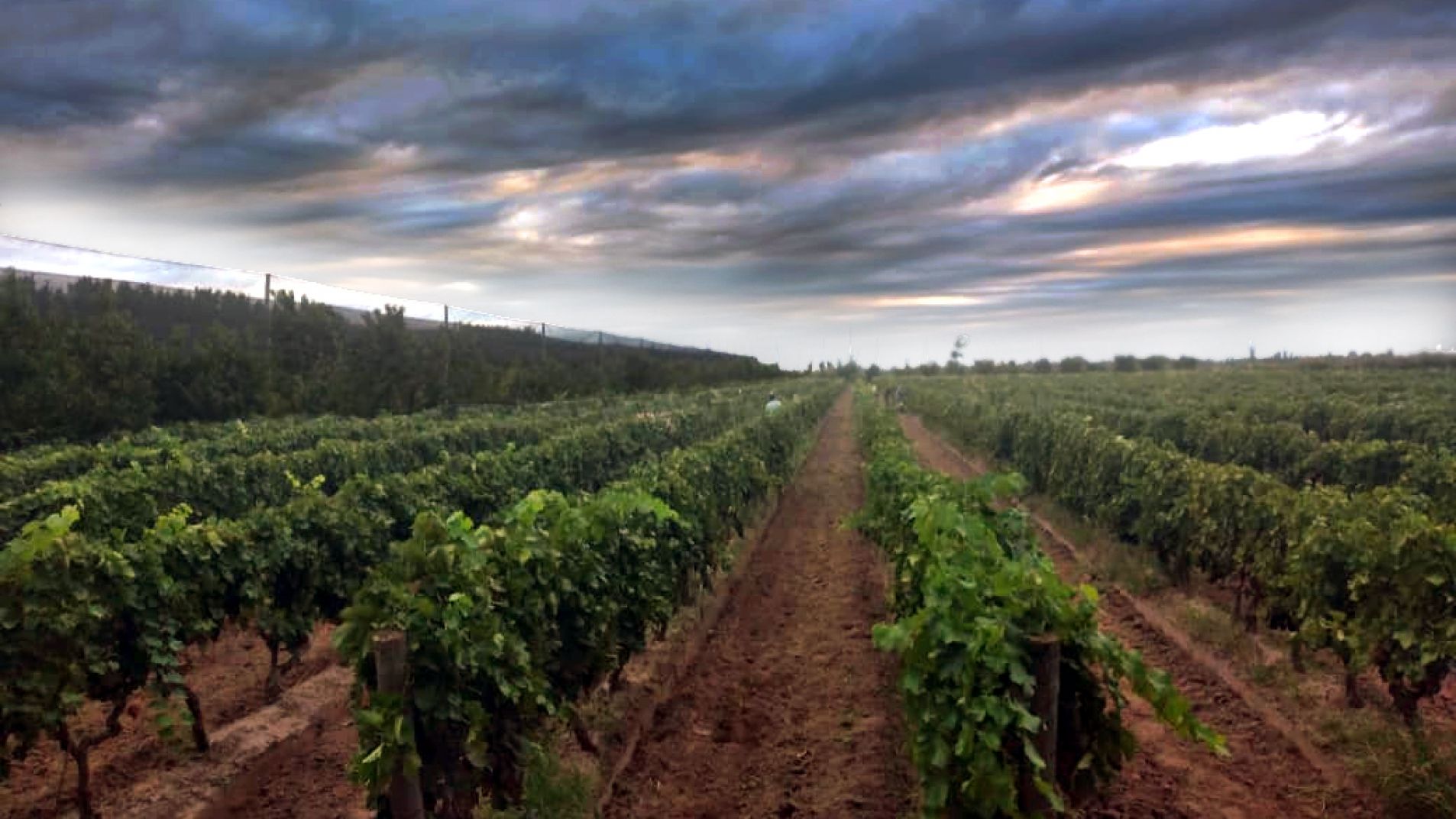 El ministro de Producción ratifica el seguro por encima de la Lucha Antigranizo
