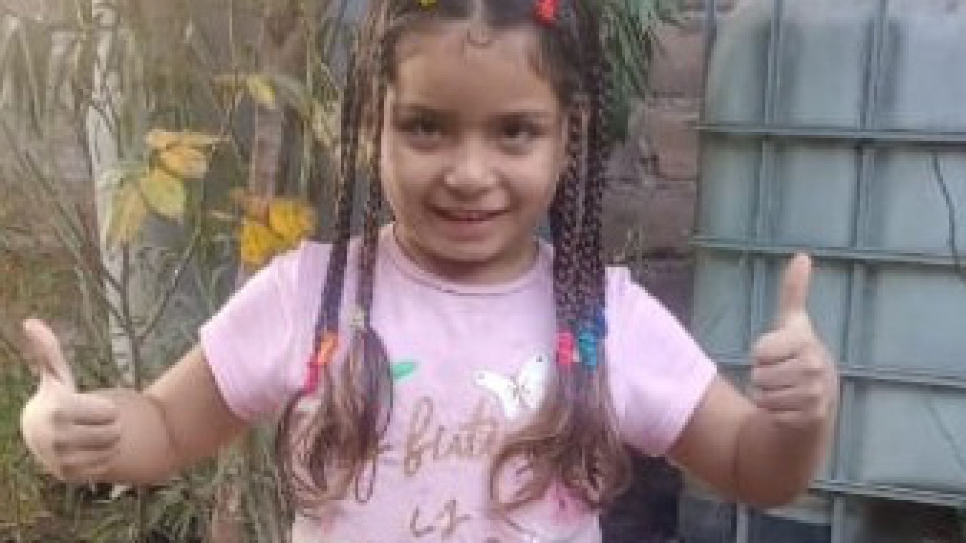 Buscan a una nena que fue retirada de la escuela por un familiar