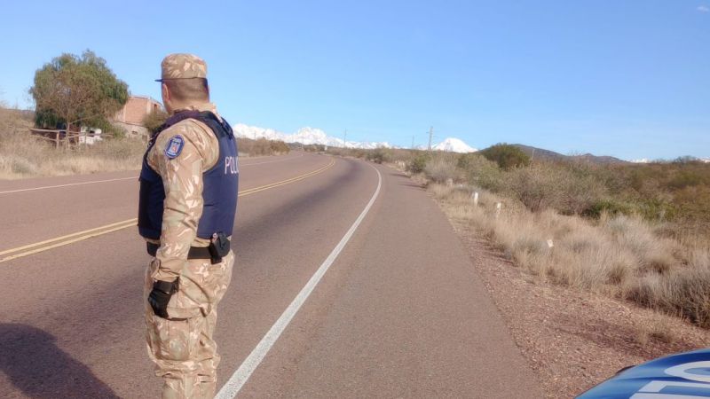 Secuestraron más de 150 kilos de pollo en mal estado