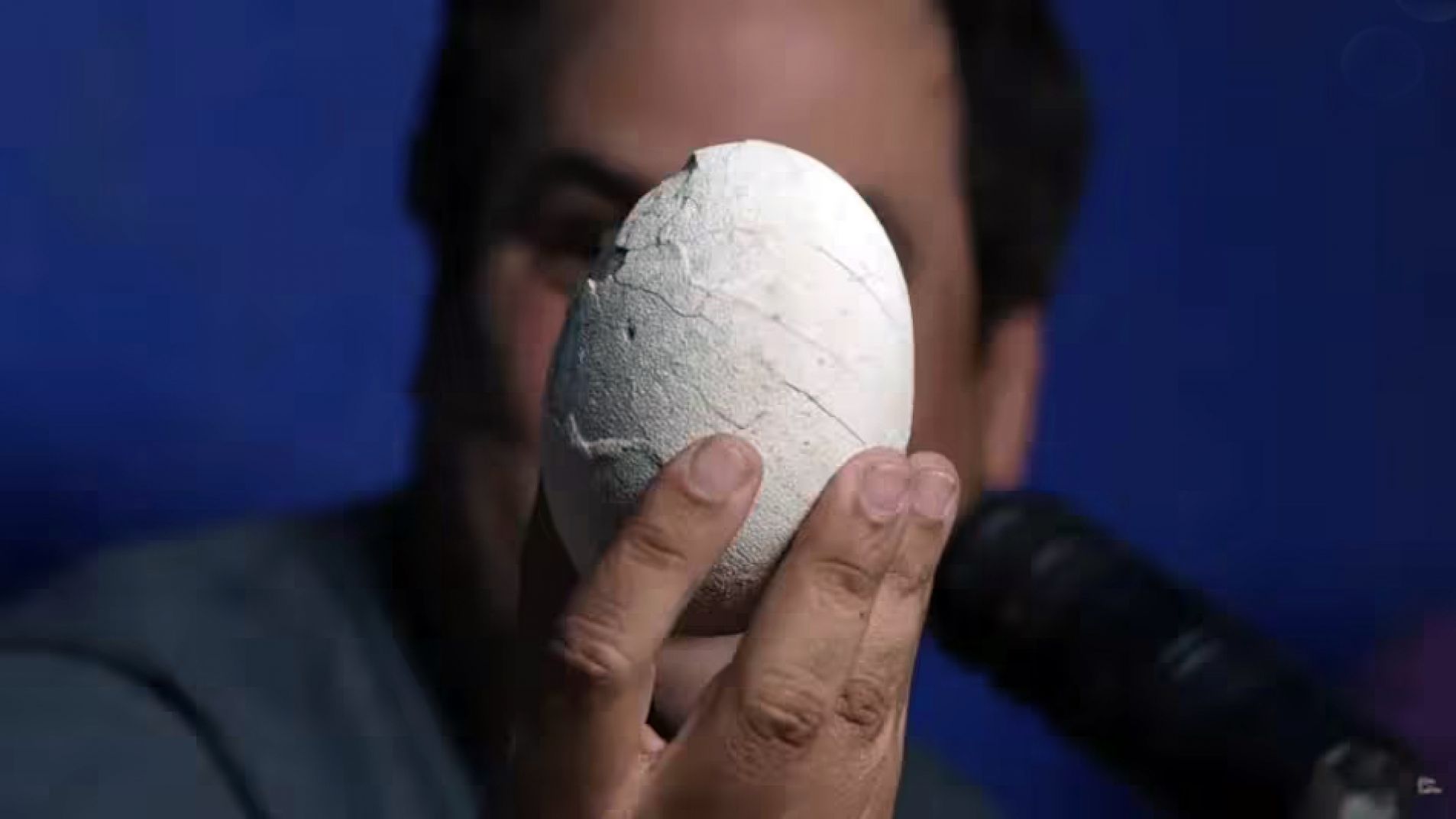 El primer huevo de dinosaurio carnívoro de América Latina fue encontrado en Argentina