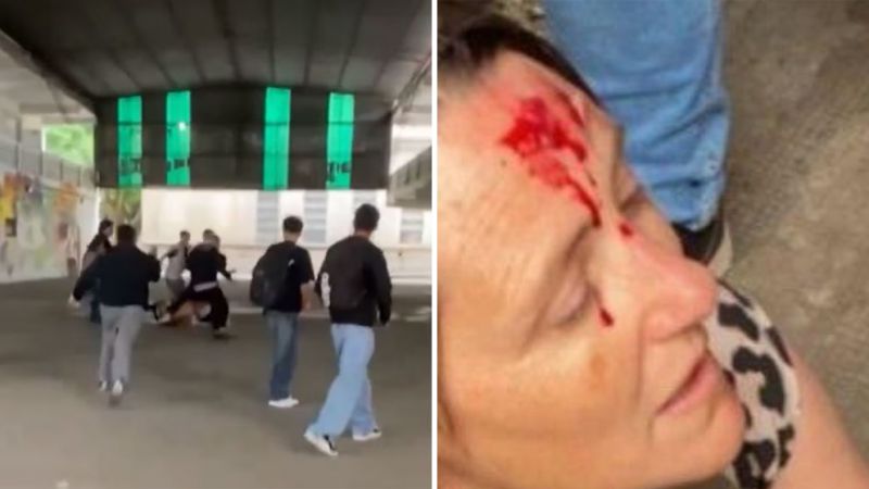 Violento ataque: ex alumno golpeó a jóvenes e hirió a una preceptora (Video)