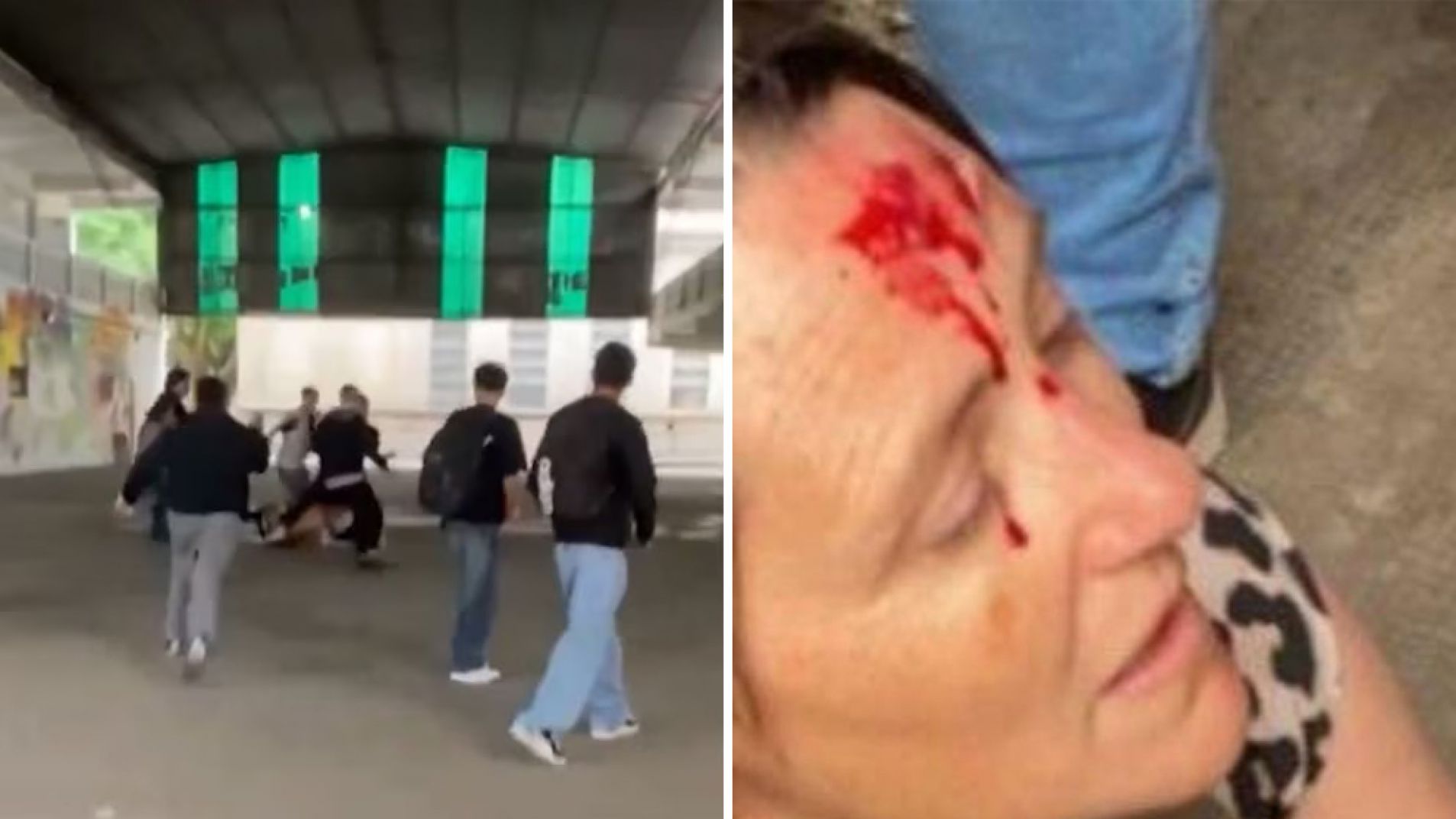 Violento ataque: ex alumno golpeó a jóvenes e hirió a una preceptora (Video)