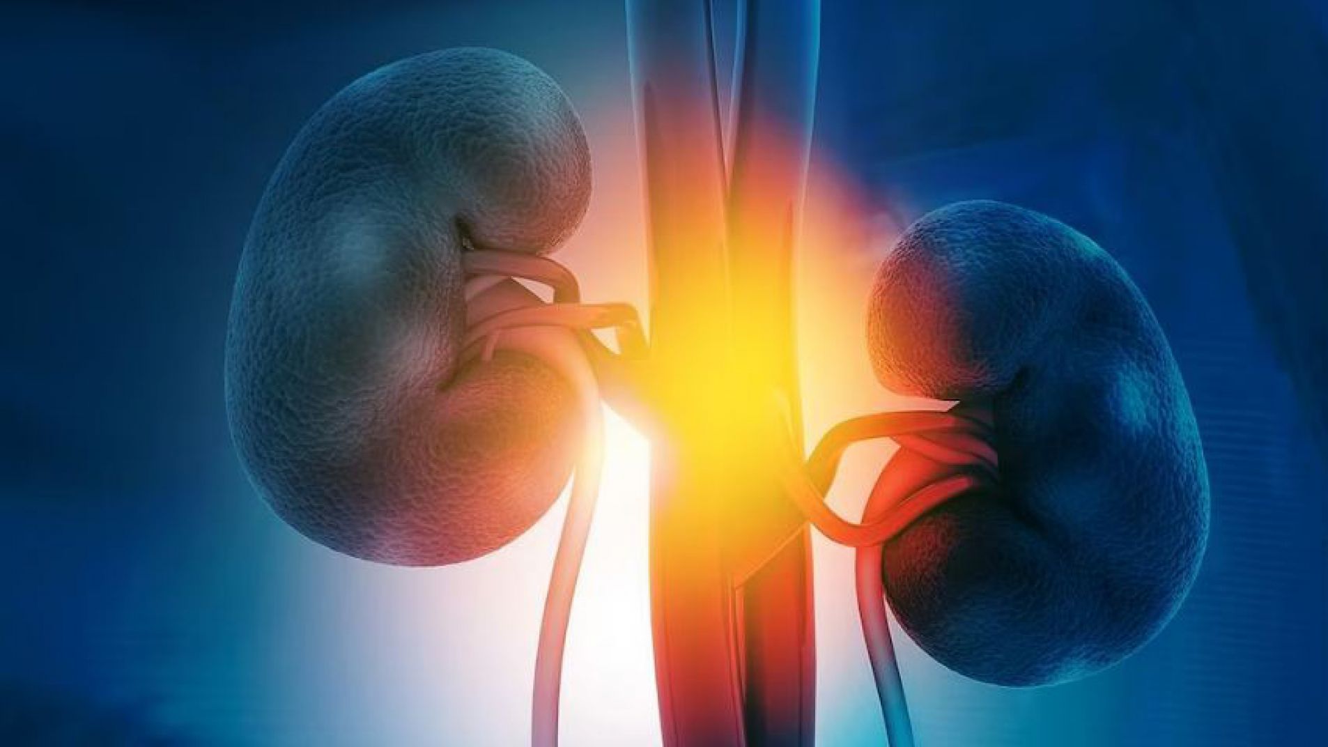 Alerta en América Latina por el avance silencioso de la enfermedad renal