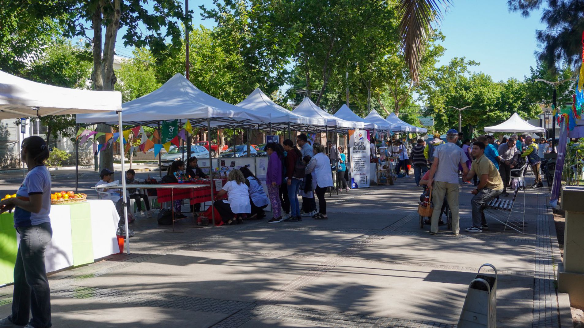 Participación educativa e institucional en el III Festival Ambiental "El Juncal"