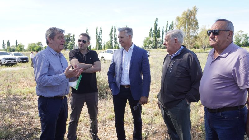 Comenzó el proceso para la instalación del primer parque solar