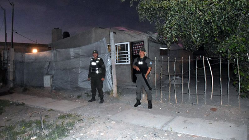 Secuestraron plantines de marihuana y detuvieron a una mujer