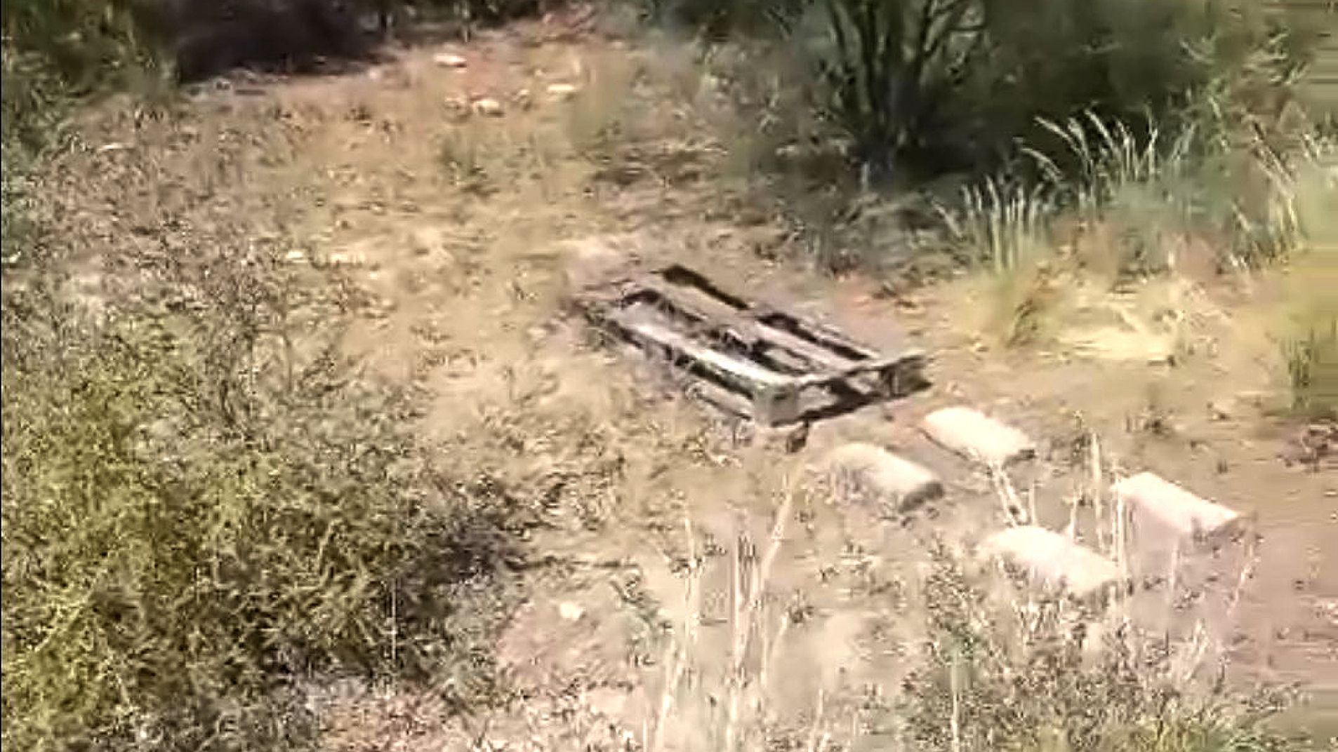 Apicultor denunció el robo de 20 colmenas en Villa Atuel