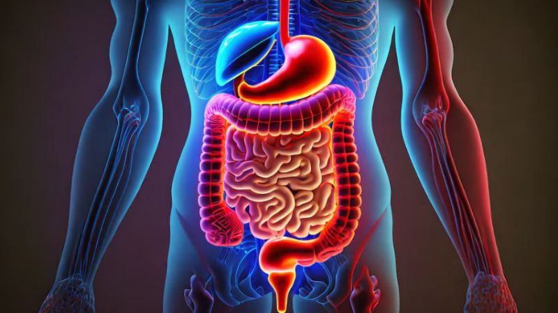 Cinco simples cambios en la alimentación que pueden transformar la salud intestinal