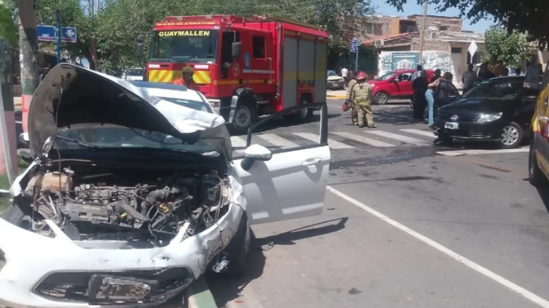 Chocó cuando llevaba al perro al veterinario y su mascota murió