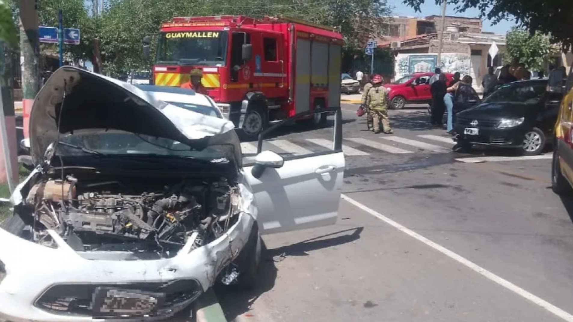 Chocó cuando llevaba al perro al veterinario y su mascota murió