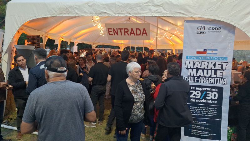 Exitosa primera jornada de la feria Market Maule en el Parque Yrigoyen