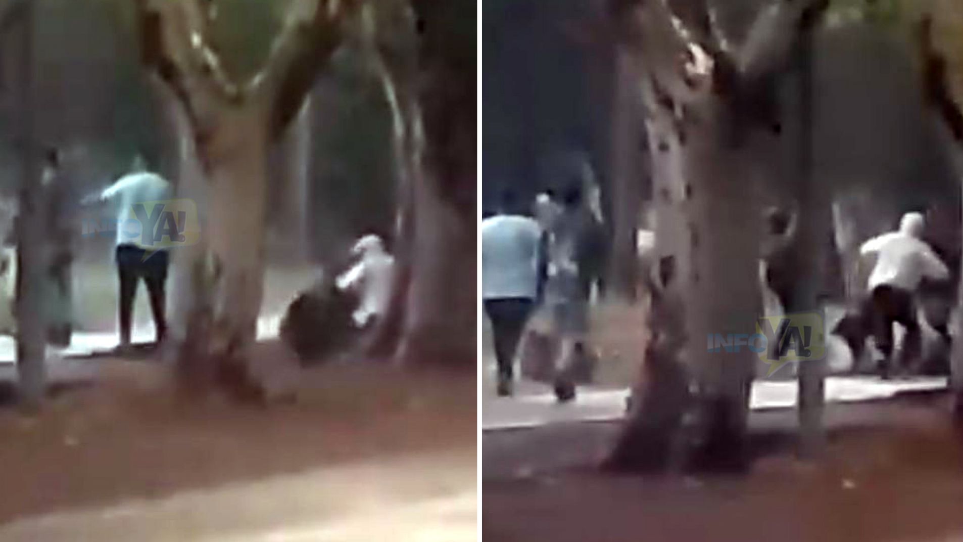 La pelea se registró sobre la ciclovía del túnel de árboles.