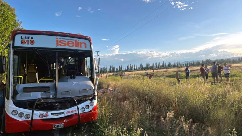 Un colectivo de Iselín atropelló a un caballo y hubo dos pasajeras heridas