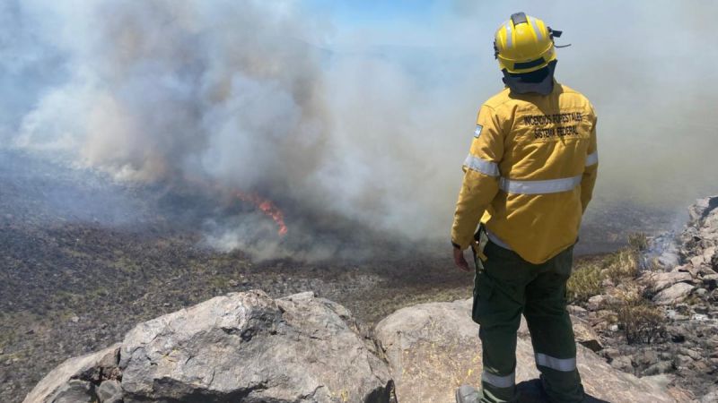 Controlaron un incendio de más de 300 hectáreas en zona del Cerro Nevado