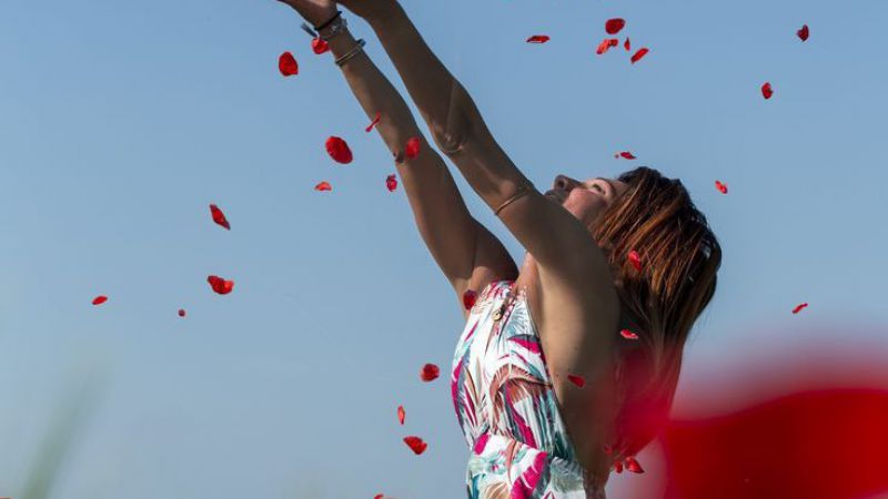 Hoy en Memoras del Alma: "Agradecidos"