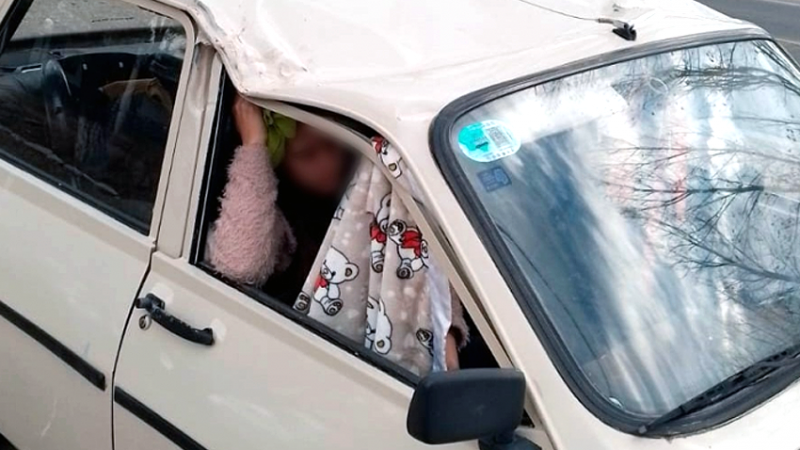 Condenaron a Vialidad Provincial por la caída de un árbol sobre un vehículo