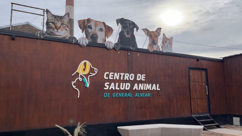 Balance anual del programa de castraciones