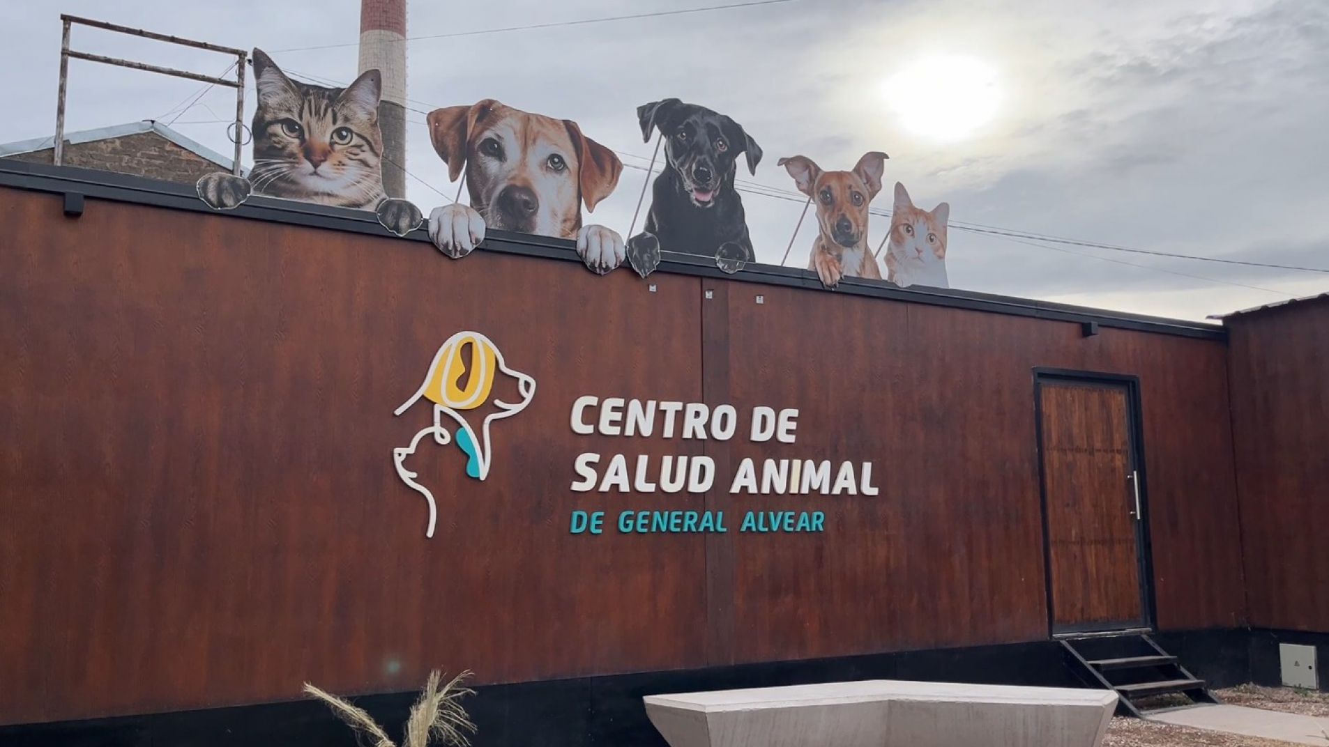 Balance anual del programa de castraciones