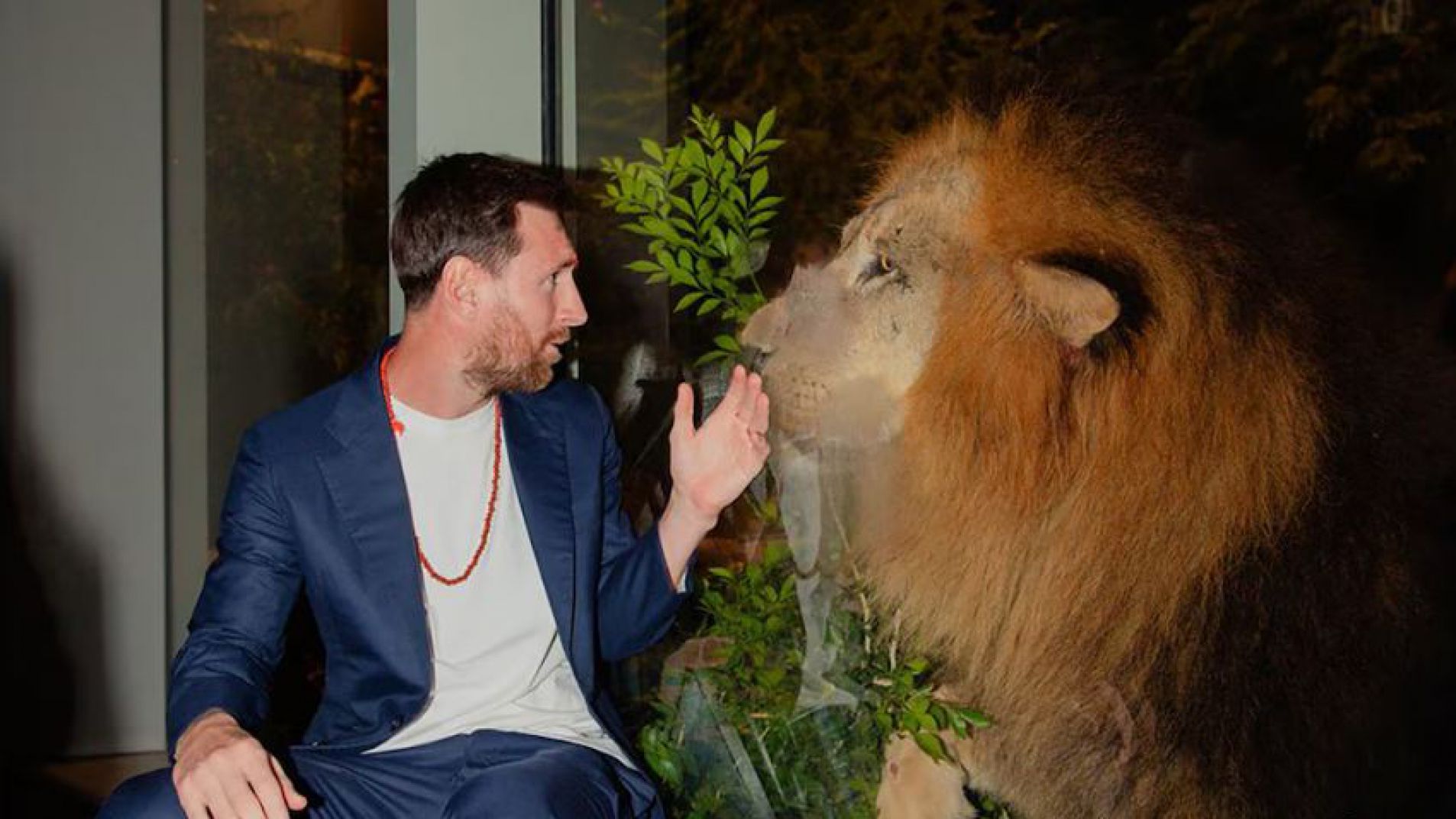 Messi visitó un refugio de animales en la India: el homenaje que recibió
