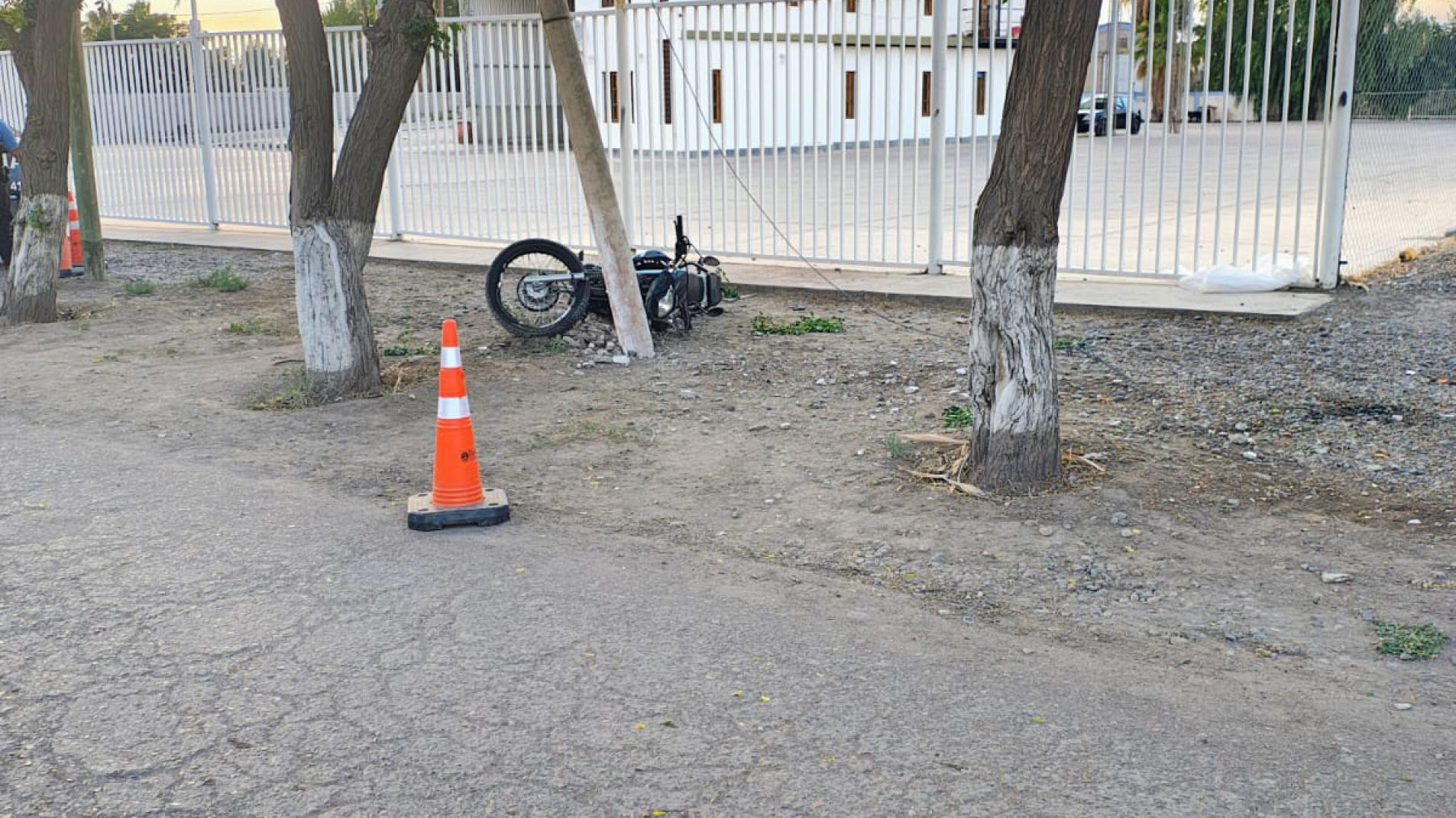 Tragedia en Maipú: Murió un motociclista que chocó contra unárbol