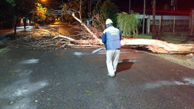Las tormentas de granizo dejaron árboles, ramas y cables caídos