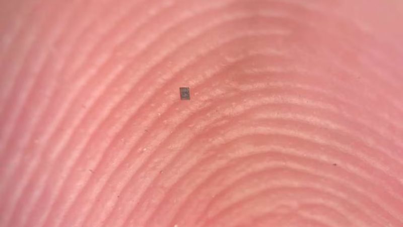 Científicos crearon robots más pequeños que un grano de sal