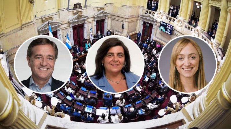Cómo votaron los senadores mendocinos el Presupuesto 2026