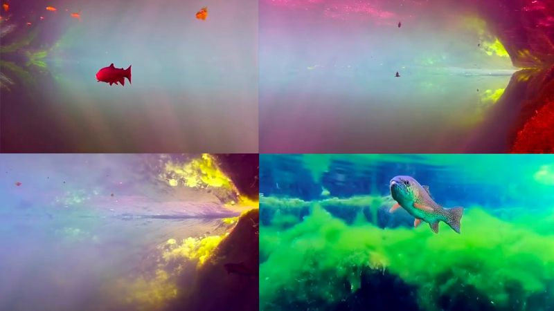 Mirá lo que hay en el fondo de la Laguna de la Niña Encantada