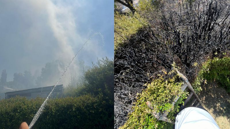 Prendieron fuego para "limpiar" y quemaron los siempre verdes del vecino