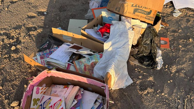 Volvieron a arrojar basura en la avenida Alvear Oeste