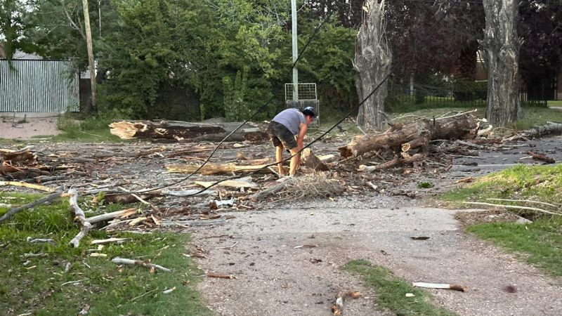 Atención automovilistas: cayeron árboles en Rama Caída sobre la ruta 143