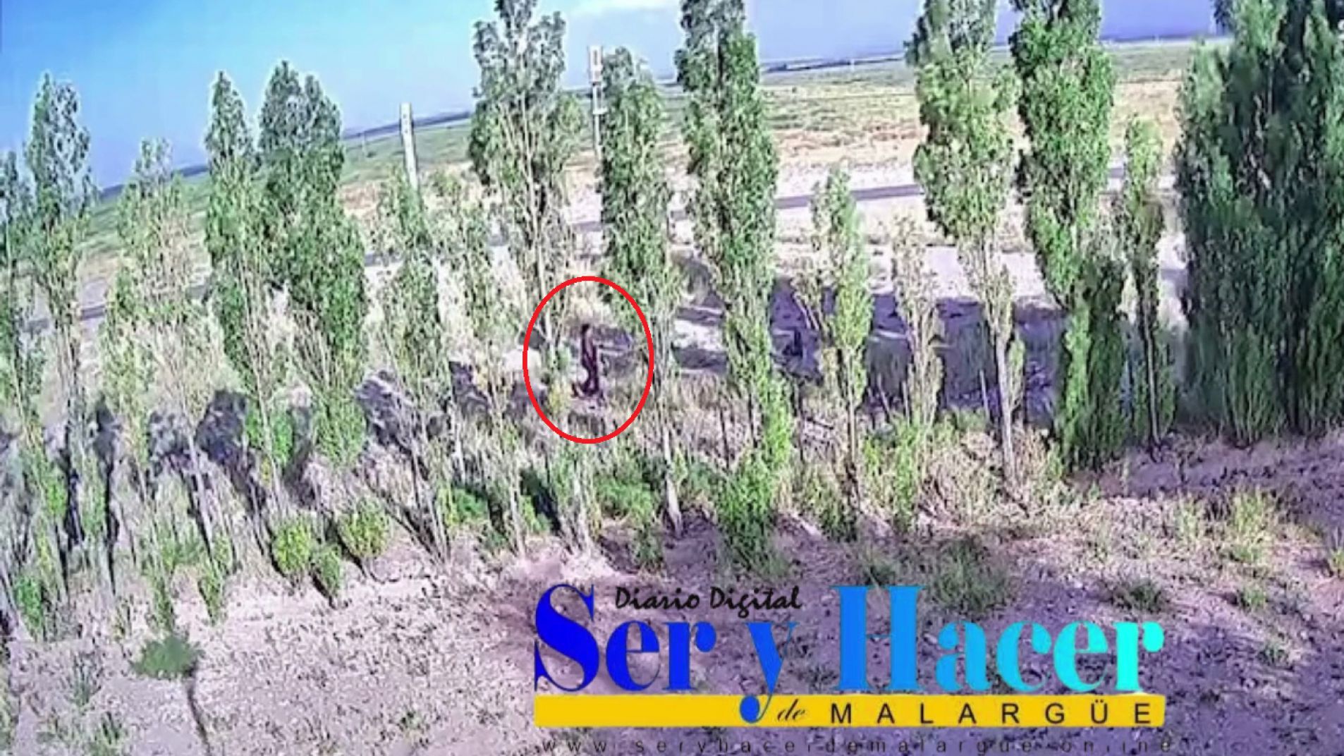 Emma fue captada por la cámara el sábado por la tarde.