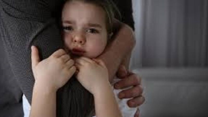 Celebremos el Año Nuevo sin dañar ni molestar a los demás