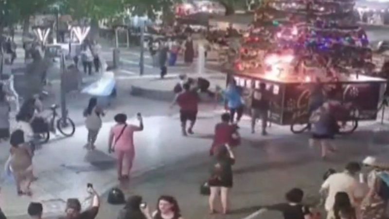 Incendiaron un árbol de Navidad en marcha antiminera: un detenido (video)