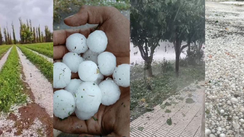 A un año exacto, Real del Padre volvió a ser arrasado por una granizada