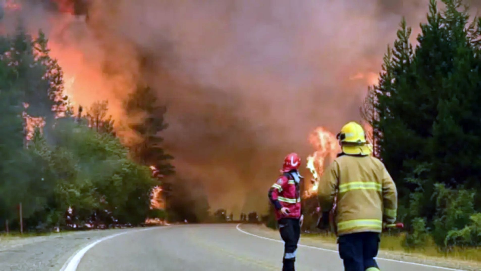 Incendios en Chubut: "Es la peor tragedia ambiental en 20 años" (Videos)