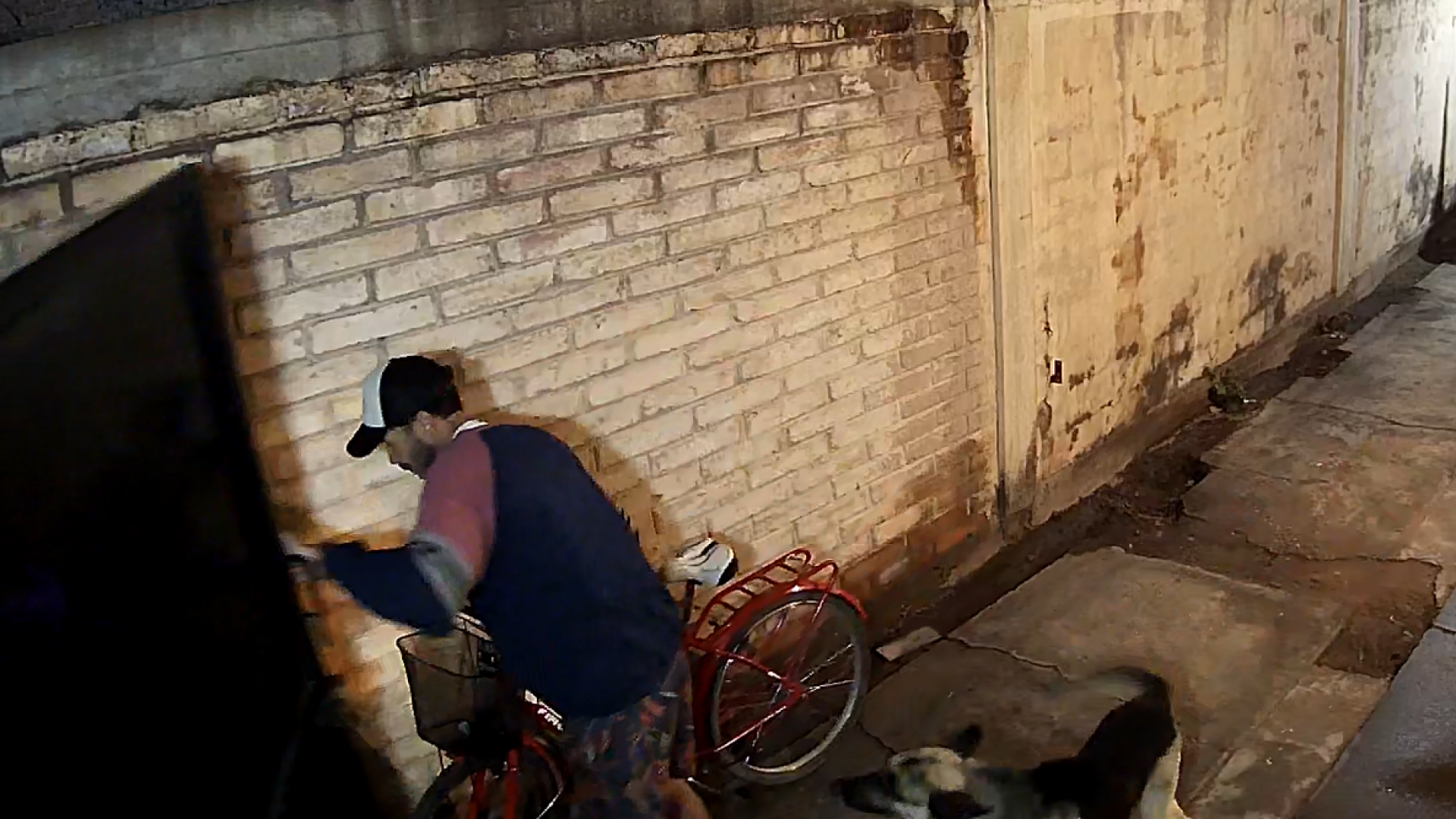 Delincuentes entraron de madrugada a una casa y robaron una bicicleta