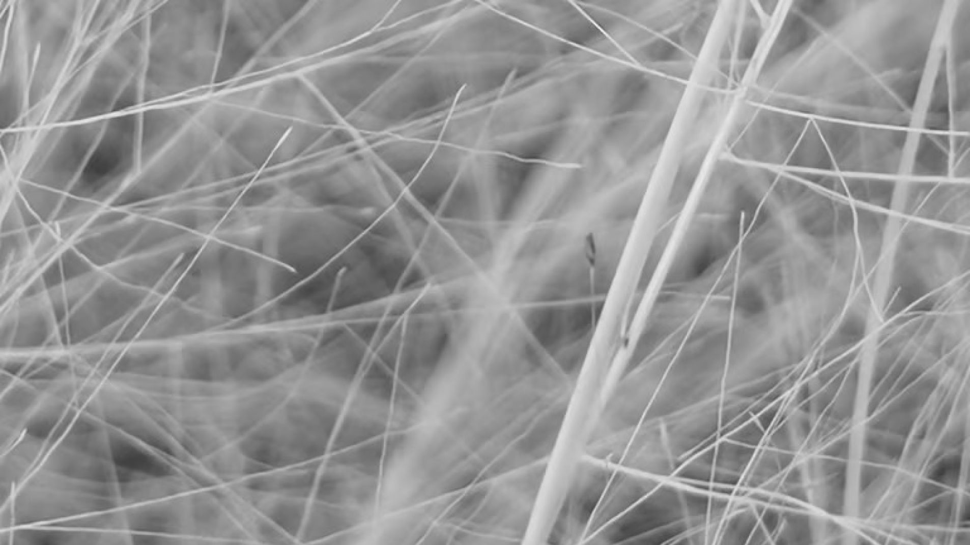 "24 miradas en blanco y negro"