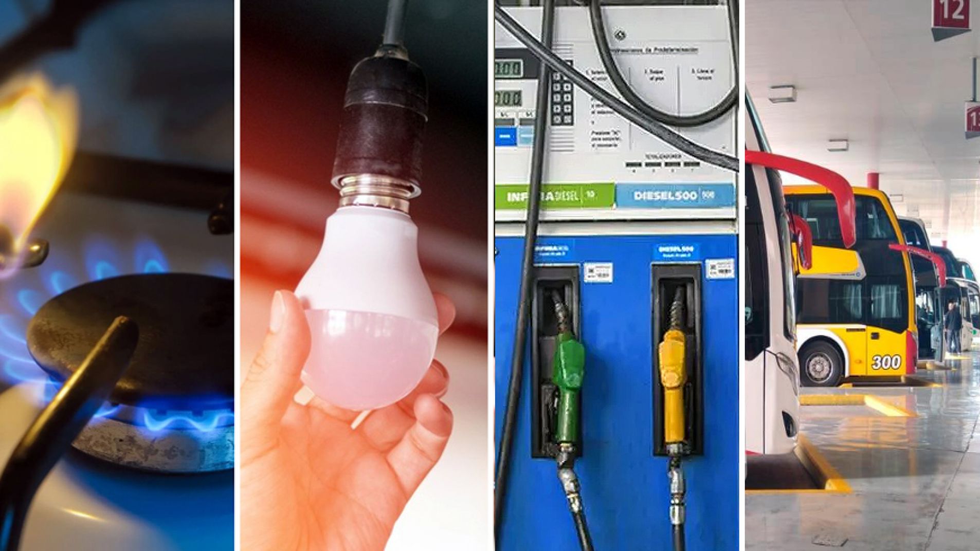 La inflación interanual acumuló 31,5%, la más baja de los últimos ocho años