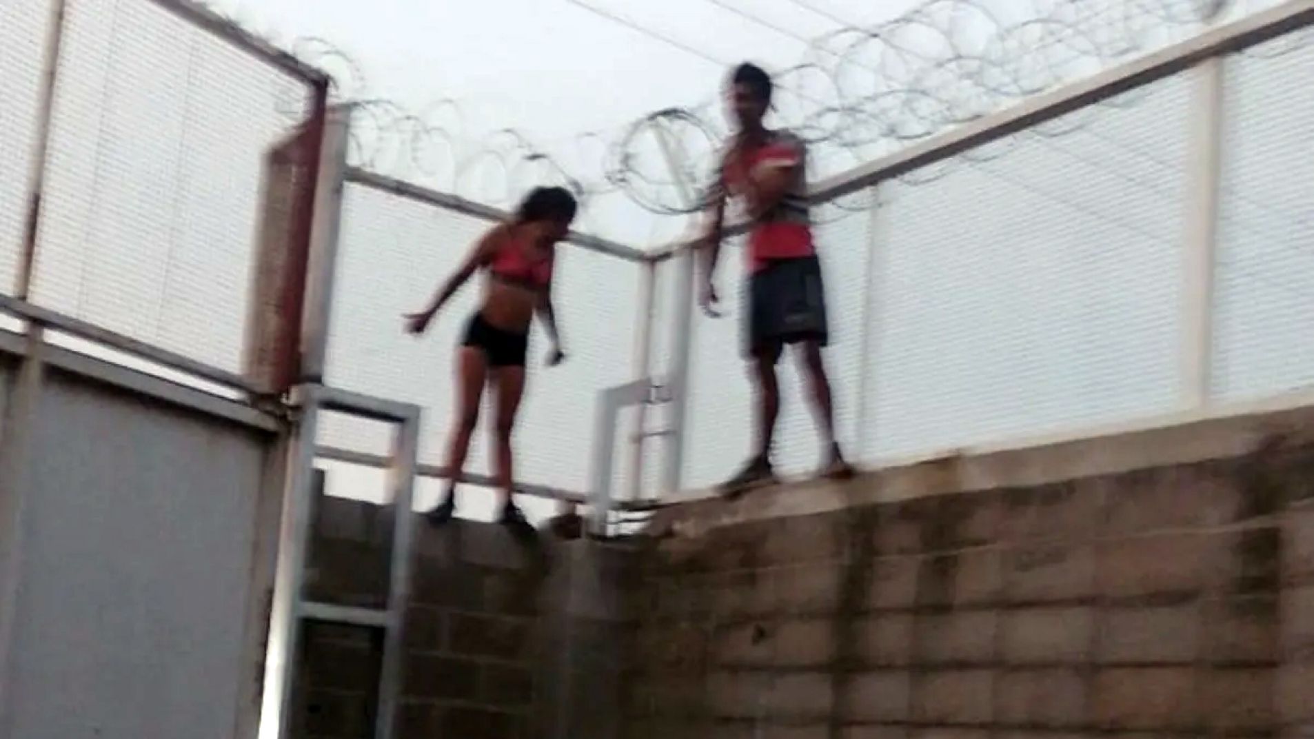 Quisieron entrar a robar y quedaron entre los alambres de púas (videos)