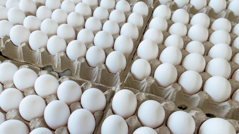 Pasaron por un comercio y se robaron varios maples de huevos