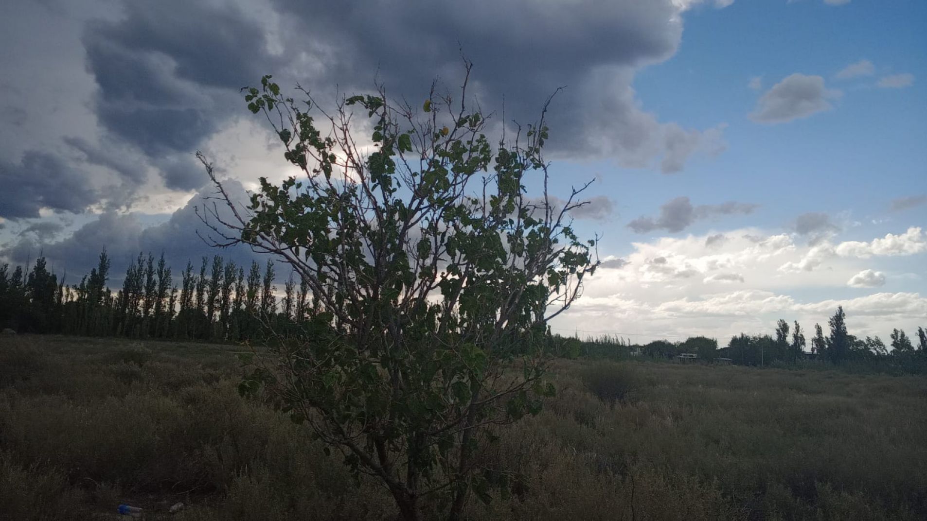 Rige un nuevo alerta amarillo por tormentas con posible caída de granizo