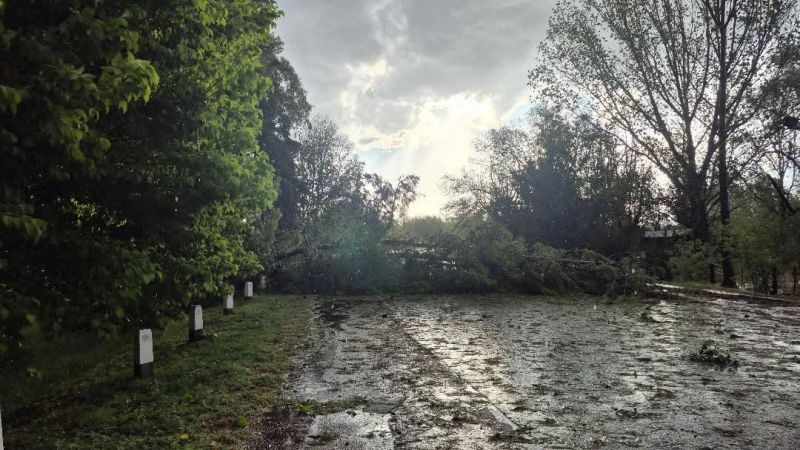 La tormenta dejó arboles caídos, rotura de vidrios y corte de ruta