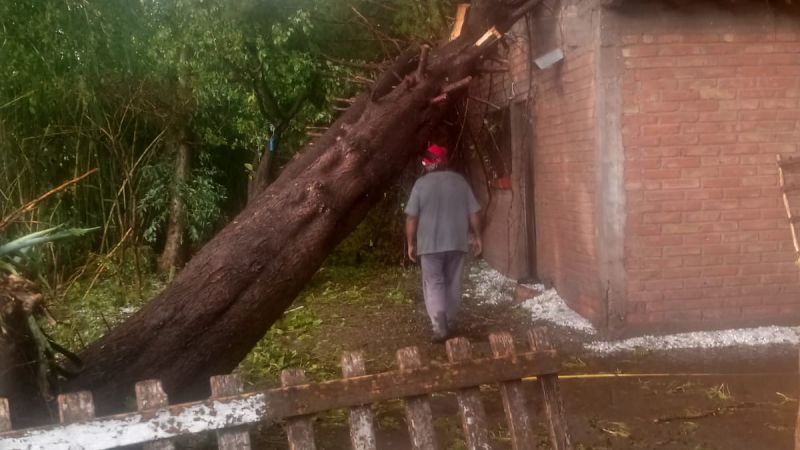 Este es el resumen de los daños que dejó la feroz tormenta granicera