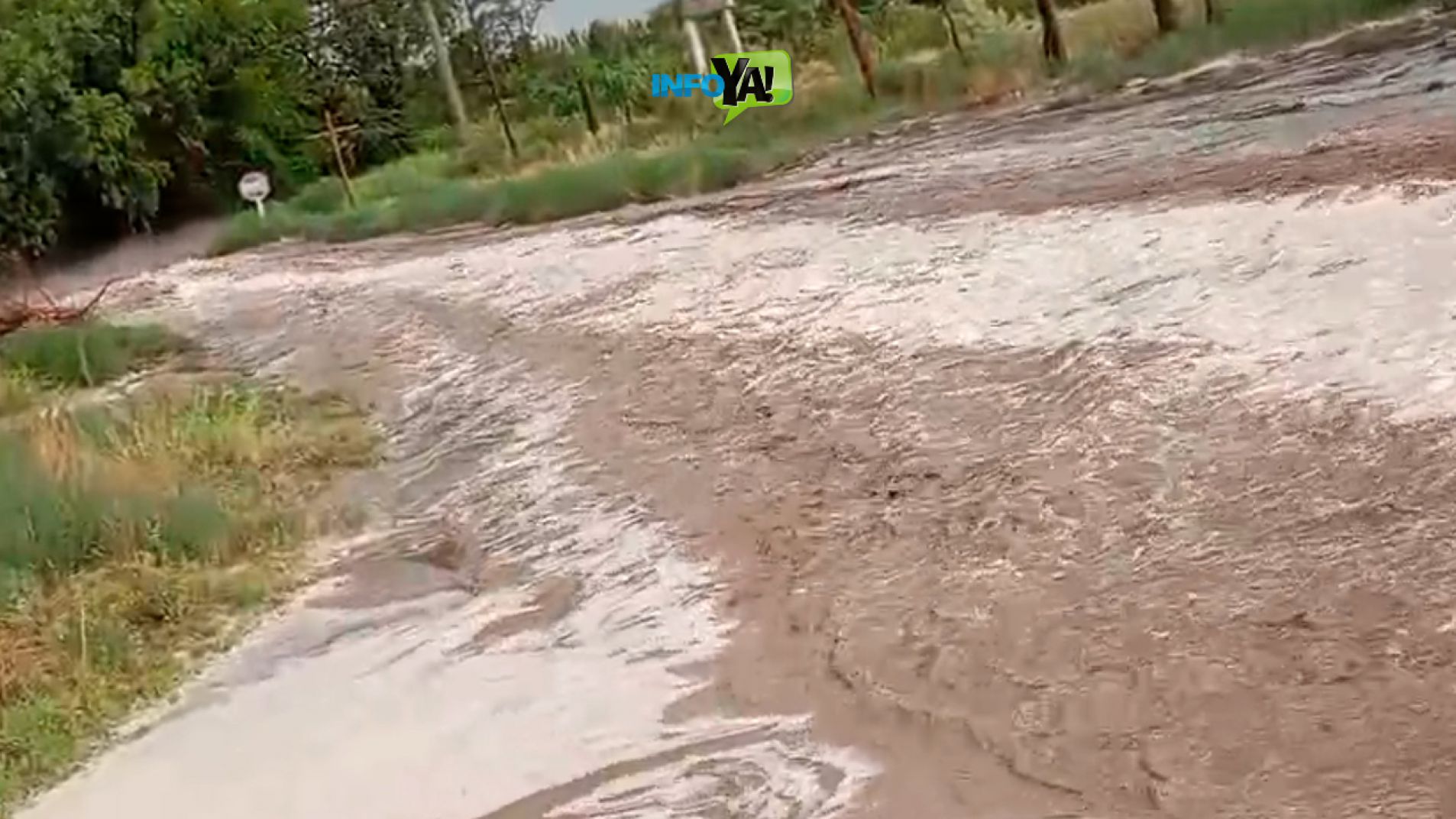 Intensa lluvia: Informe actualizado con el detalle de las calles intransitables