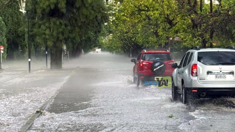 Video e imágenes de la tormenta que dejó calles anegadas en la ciudad
