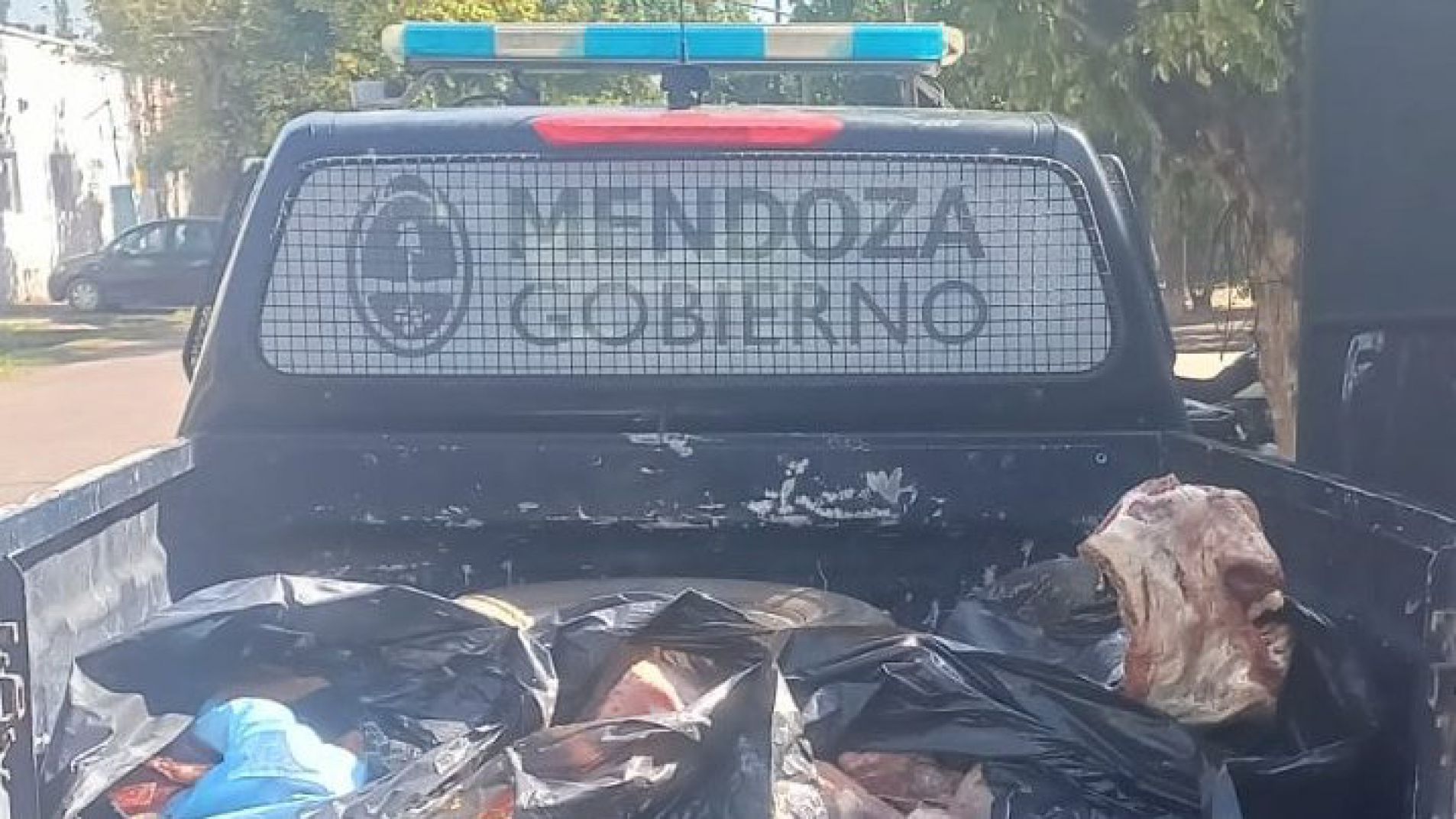 Decomisaron 113 kilos de carne no apta para el consumo